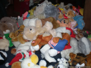 Tripnovember2008-033