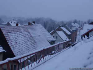 Tripnovember2008-091