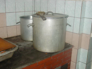 Tripnovember2008-115