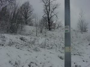 Tripnovember2008-128