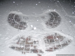 Tripnovember2008-168