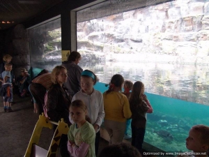 TydzienDzieci2008-043