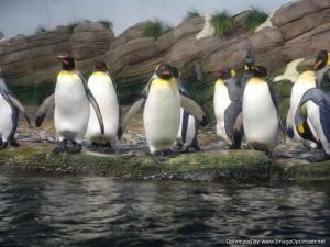 TydzienDzieci2008-047