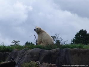 TydzienDzieci2008-049