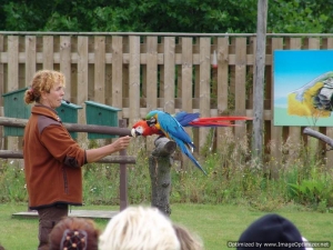 TydzienDzieci2008-054