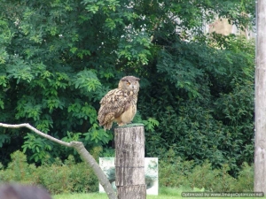 TydzienDzieci2008-055