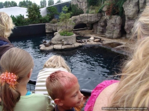 TydzienDzieci2008-061