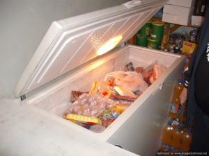 Tripfebruari2009-084