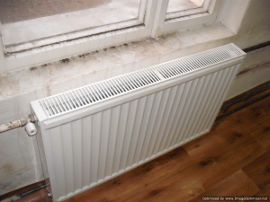 Tripfebruari2009-092