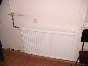 Tripfebruari2009-095