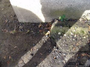 Tripnovember2009-123