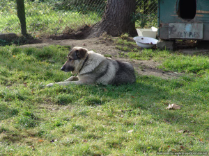 Tripnovember2009-129