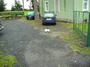 OverstromingLesna2010-012