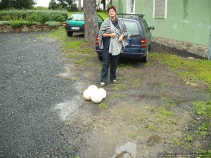 OverstromingLesna2010-013