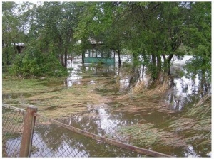 OverstromingLesna2010-128