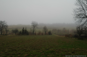 Tripnovember2011-055