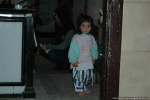 Tripnovember2011-080