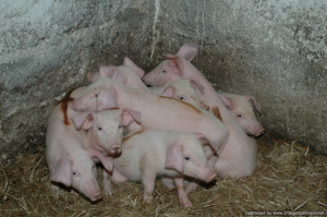 Tripnovember2011-143