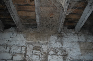 Tripnovember2011-144