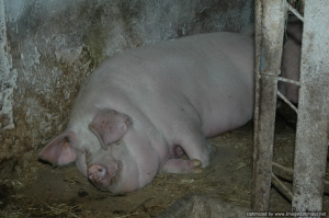 Tripnovember2011-145