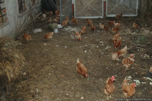 Tripnovember2011-147