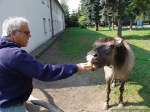 Tripseptember2011-35