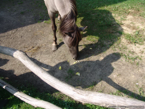 Tripseptember2011-36