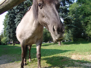 Tripseptember2011-37