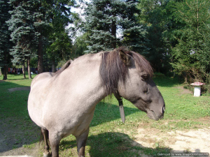 Tripseptember2011-38