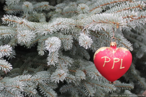 Tripnovember2012-038