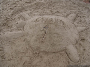 KW2014-03-woensdag-027