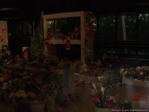 KW2014-05-vrijdag-009