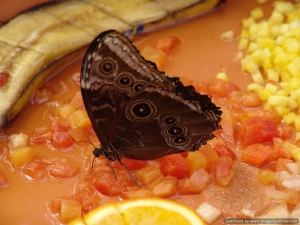 KW2013-05-vrijdag-007