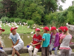 KW2013-05-vrijdag-009